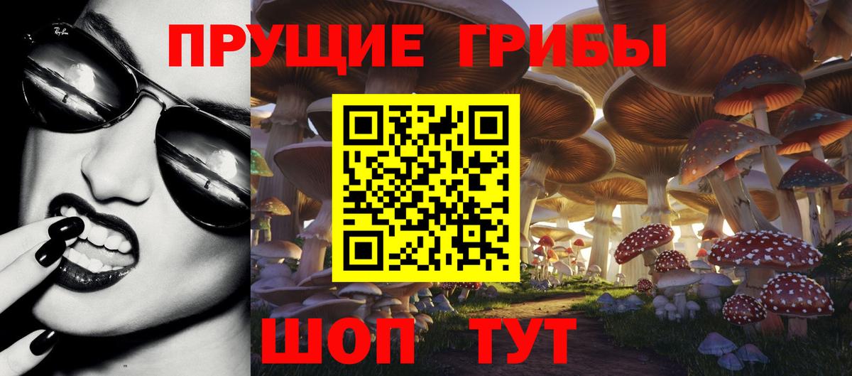 Галлюциногенные грибы Magic Shrooms  Вход с VPN  Кинешма  Псилоцибиновые грибы ЛСД 