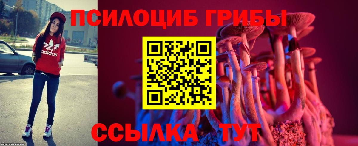 Псилоцибиновые грибы MAGIC MUSHROOMS Кинешма